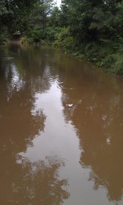 Seaworthy wasn't a term that came to mind. Neither of us thought it would make it to the bend in the creek.