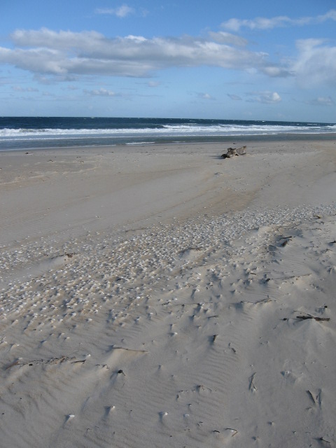 Scamander Beach