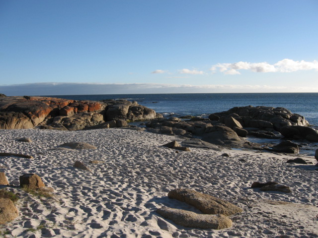 Cosy Corner What an amazingly beautiful place. Cosy Corner is the the Bay of Fires NP and everyone should visit it!