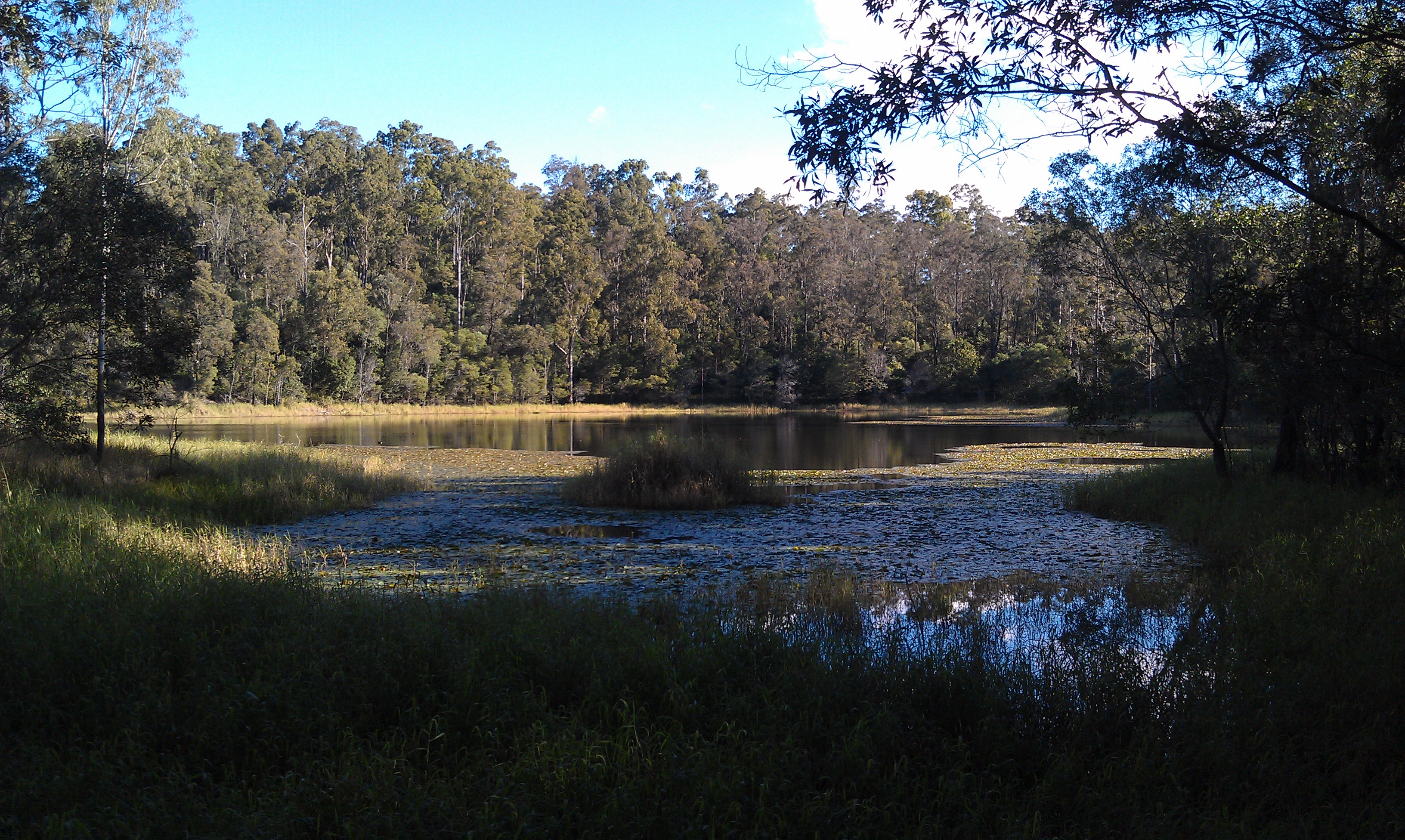 Enoggera Dam – The Graceful Cyclists