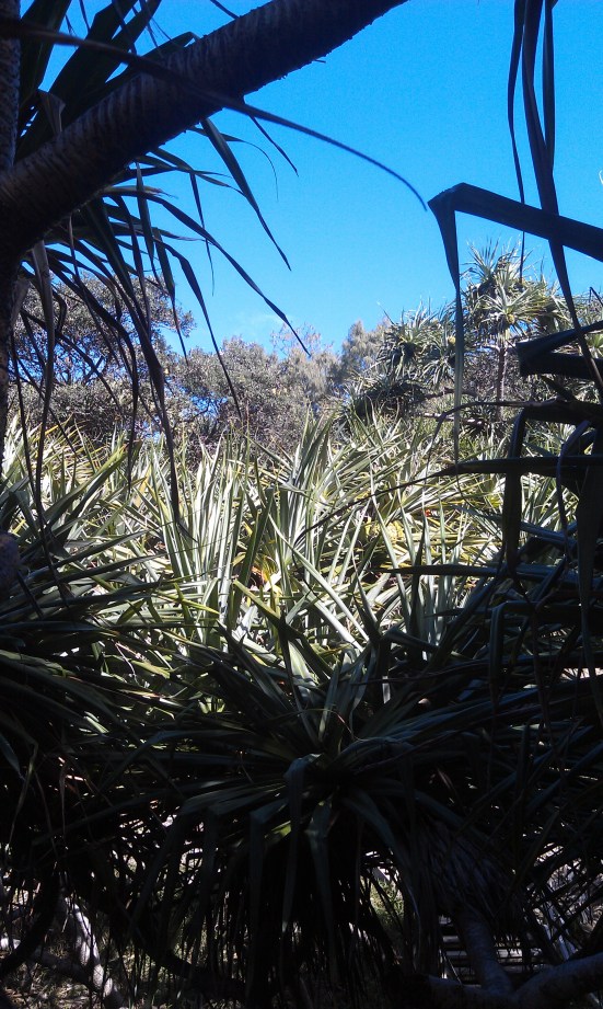 Stradbroke - The Gorge 2