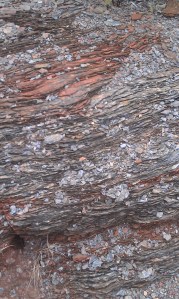 Desert Shale