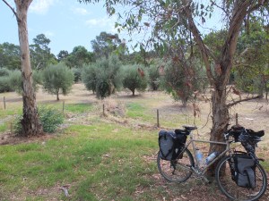My Surly loaded up for an 8 day ride.