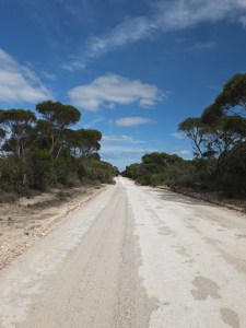 Three Chains Road, some sections were like this, other sections were red pea gravel of deep sand.