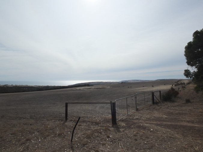 The amazing views of the northern coast of Kangaroo Island that became visible every now and then.
