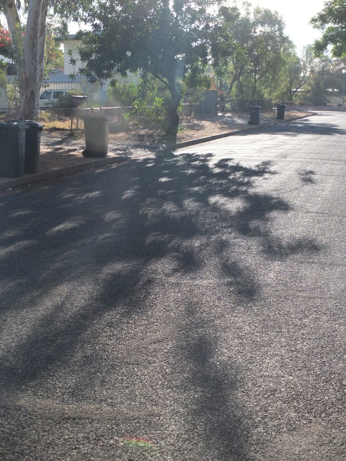 It turned out you could see the eclipse in every shadow, so we decided it was easier to play with shadows!