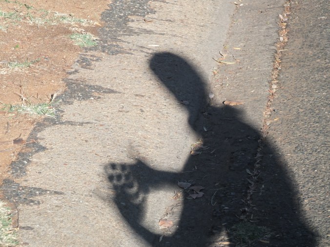 Easily the coolest and easiest way to view the eclipse was through your fingers!