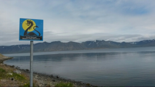 20150802_114616.jpg image