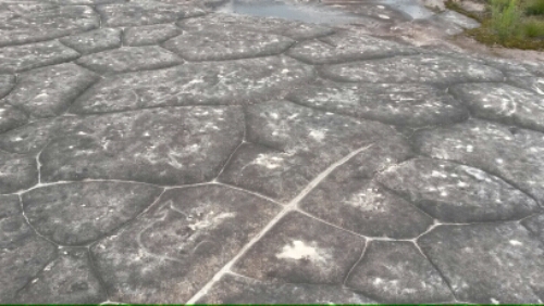 20151108_115357.jpg image