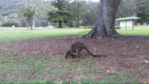 20151108_123055.jpg image