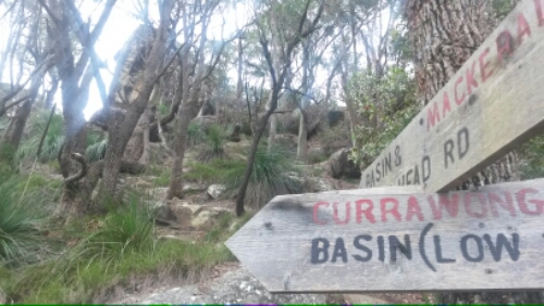 20151108_141951.jpg image